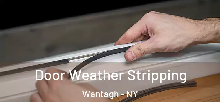Door Weather Stripping Wantagh - NY