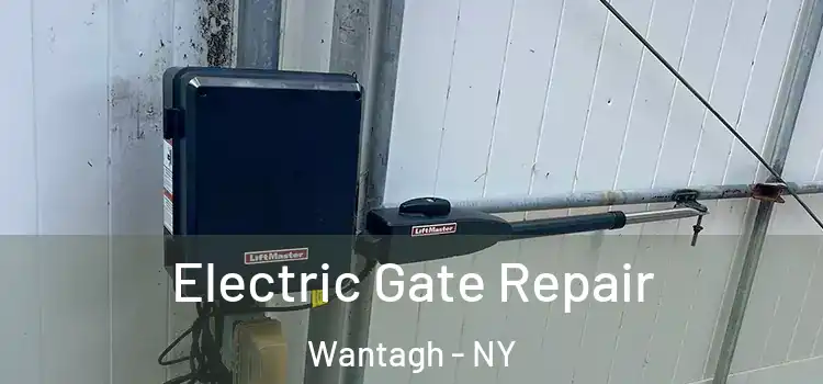 Electric Gate Repair Wantagh - NY