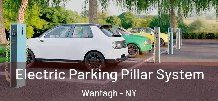 Electric Parking Pillar System Wantagh - NY