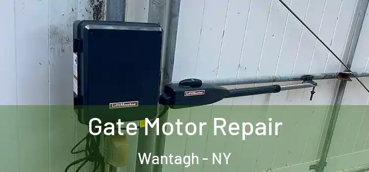 Gate Motor Repair Wantagh - NY
