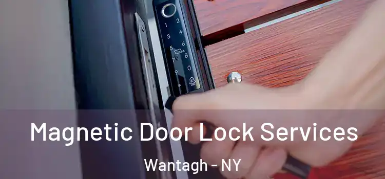 Magnetic Door Lock Services Wantagh - NY